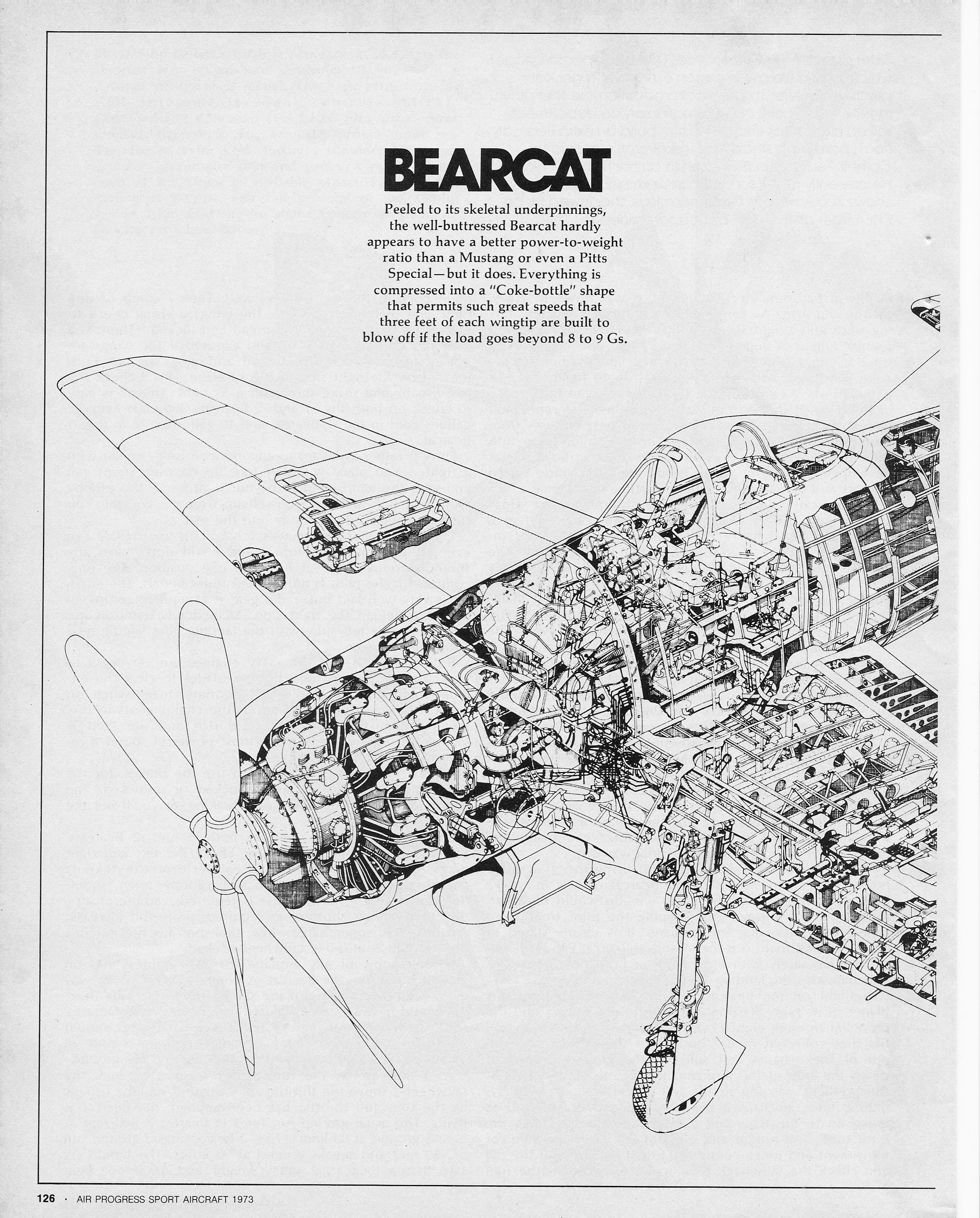 bearcat.jpg